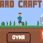 Сумасшедшее ремесло