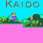Кайдо