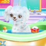 Мой новый друг-пудель — игра по уходу за домашними животными