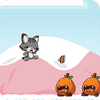 Кот-бегун